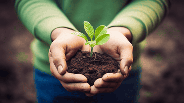 The Power of Compound Interest: Growing Your Wealth Through Personal Finance