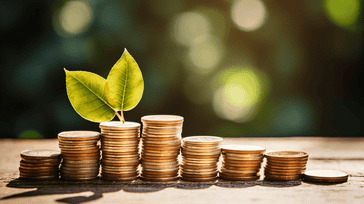 Understanding Wealth Management: A Comprehensive Guide for Investors